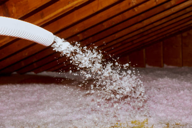 Best Residential Insulation in Medford, MN