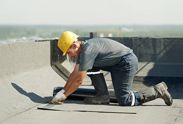 Best Specialty Insulation in Medford, MN